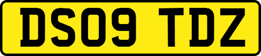 DS09TDZ