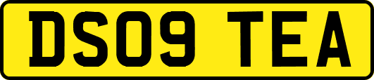 DS09TEA