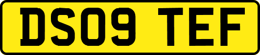 DS09TEF