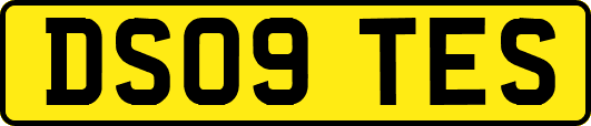 DS09TES