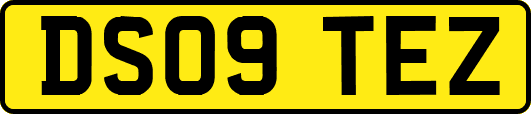 DS09TEZ