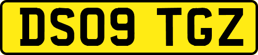 DS09TGZ
