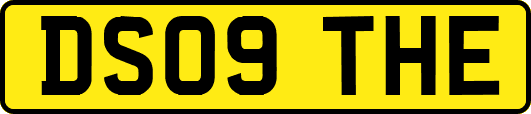 DS09THE