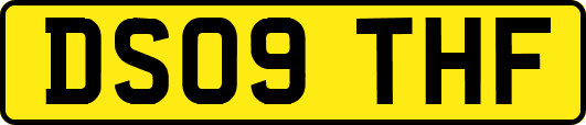 DS09THF