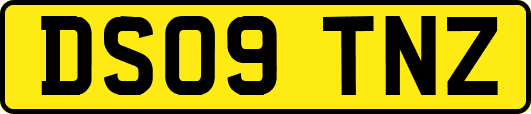 DS09TNZ