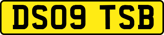 DS09TSB