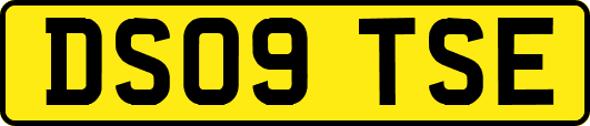DS09TSE