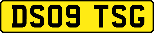 DS09TSG