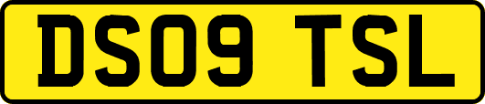 DS09TSL