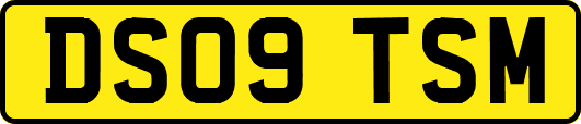DS09TSM