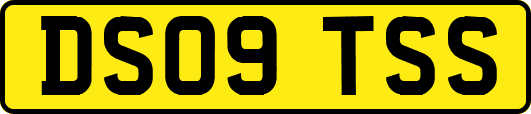 DS09TSS