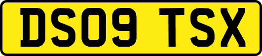 DS09TSX