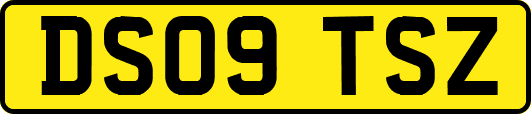 DS09TSZ