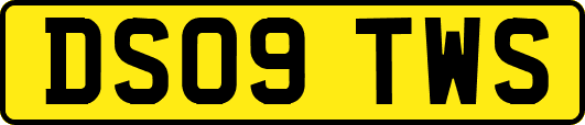DS09TWS