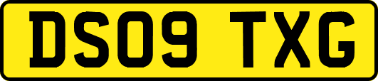 DS09TXG