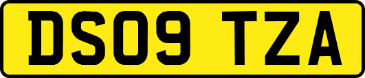 DS09TZA