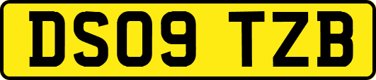 DS09TZB
