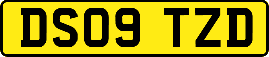 DS09TZD