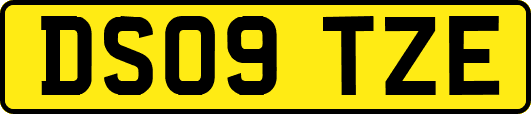 DS09TZE