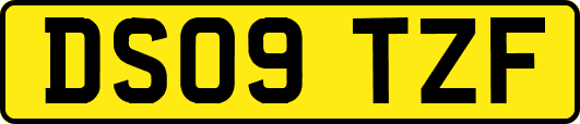 DS09TZF
