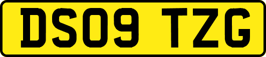DS09TZG