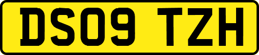 DS09TZH