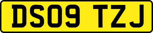 DS09TZJ