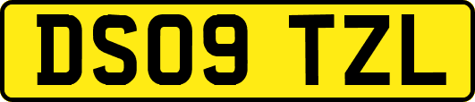DS09TZL