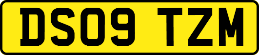 DS09TZM