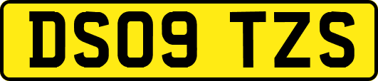 DS09TZS
