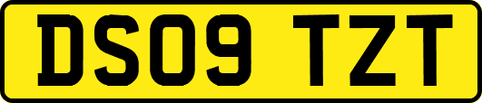 DS09TZT