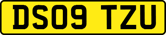 DS09TZU