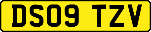 DS09TZV