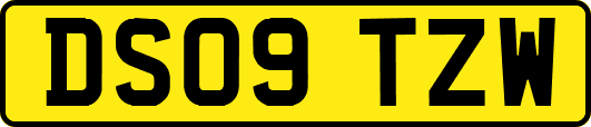 DS09TZW