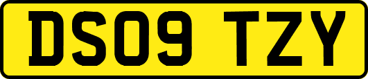 DS09TZY