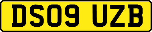 DS09UZB