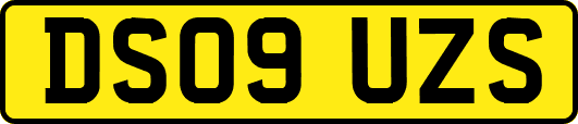 DS09UZS