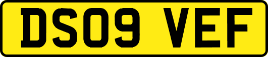 DS09VEF