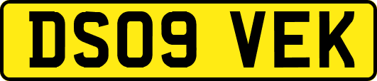 DS09VEK