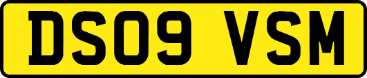 DS09VSM