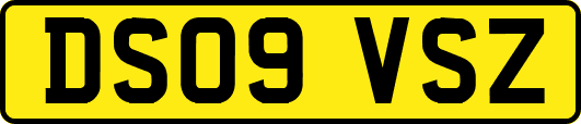 DS09VSZ