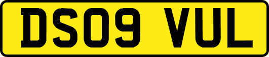 DS09VUL