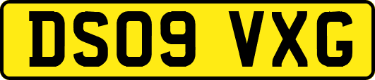 DS09VXG