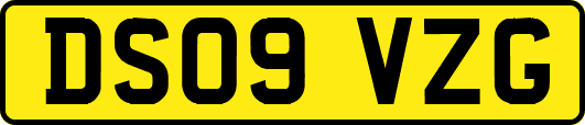 DS09VZG