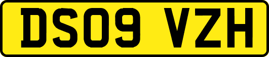 DS09VZH