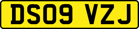 DS09VZJ