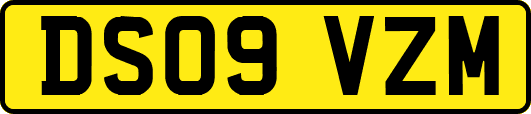 DS09VZM
