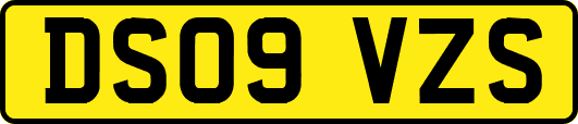 DS09VZS