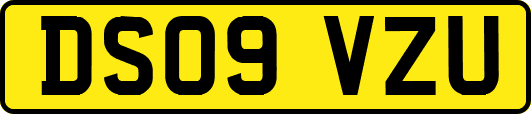 DS09VZU