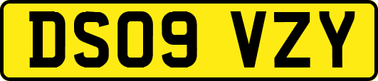 DS09VZY